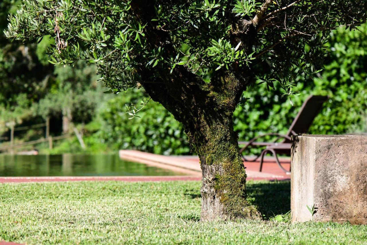Vale Do Ninho Nature Houses Ferraria de São João Kültér fotó